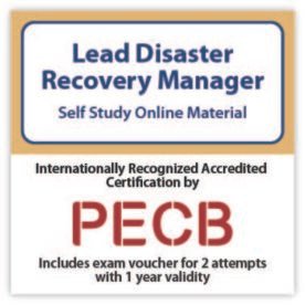 Lead Disaster Recovery Manager