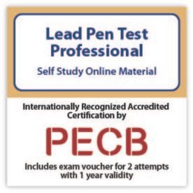 Lead Pen Test Professional